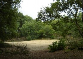 zwarte_berg_4.jpg In de Vlinderkes 40plusteens