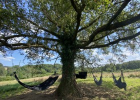 Domaine de Pamadera in Mialet, Frankrijk hangmatten in boom Domaine de Pamadera 40plusteens