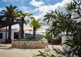Casa Rural El Olivar in Cordoba, Spanje zitje met palmbomen Casa Rural El Olivar 40plusteens