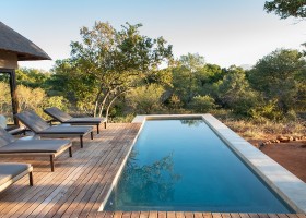 Homes of Africa in Zuid-Afrika Villa Aloe Vera zwembad Homes of Africa vakantiehuizen 40plusteens
