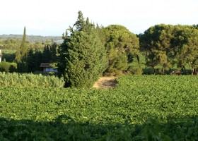 Domaine St Paul le Marseillais in de Languedoc-Roussillon Frankrijk tenten en sanitair fb Domaine Saint Paul le Marseillais  40plusteens