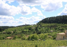 Villardeche Chatus & Picholine.jpg Chatus & Picholine 40plusteens