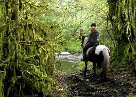 Slieve Aughty Centre Ierland paardrijden volwassene Slieve Aughty Centre 40plusteens