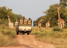 Homes of Africa in Zuid-Afrika jeep en giraffen Homes of Africa vakantiehuizen 40plusteens