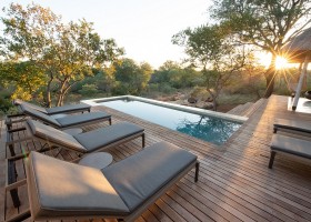 Homes of Africa in Hoedspruit, Zuid-Afrika Villa Aloe Vera zwembad Homes of Africa vakantiehuizen 40plusteens