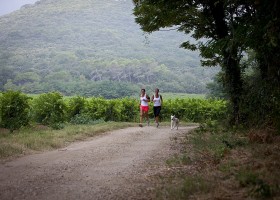 La Vallee Verte hardlopen.jpg Camping La Vallée Verte 40plusteens